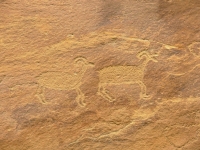 Bighorn petroglyphs from Nine Mile Canyon